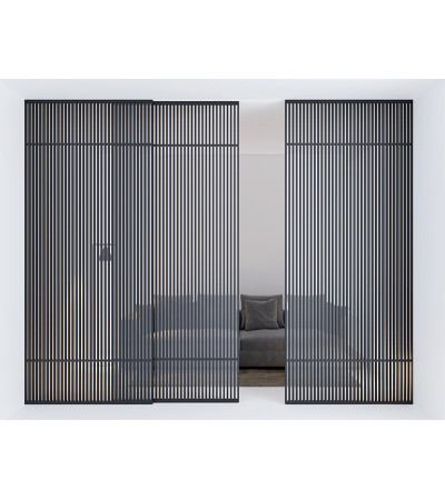 Двери Astori Raggi di luce 2600*1800