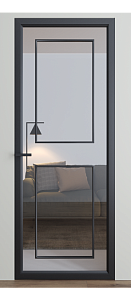 Двері Dooris Glass скляні DG 5 2000*800