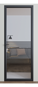 Двері Dooris Glass скляні DG 3 2000*800