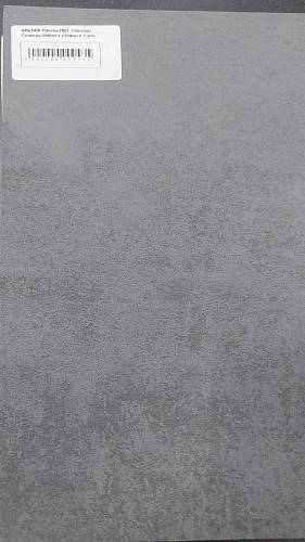 Настінна плита ПВХ Singapore Slate 600*1200*3,3 мм Bud Comfort (уп. 5 шт.)