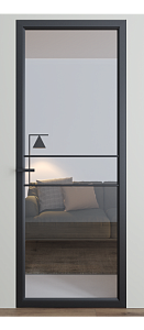 Двері Dooris Glass скляні DG 2 2000*800