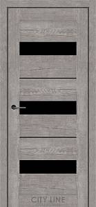 Дверне полотно ARION City Line (900 х 2000, Дуб Бронзовий, Чорне скло)