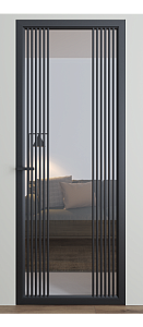 Двері Dooris Glass скляні DG 9 2000*800