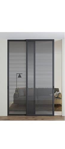 Двері  Dooris Glass Sliding DGS 10 розсувні перегородки скло (подвійні)