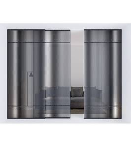 Двери Astori Raggi di luce 2600*1800