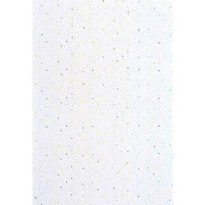 162 Панель ПВХ Ріко RL3013 Біла Ніч 0,25х6 (10шт.)
