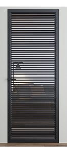 Двері Dooris Glass скляні DG 10 2000*800