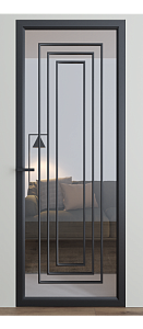 Двері Dooris Glass скляні DG 7 2000*800