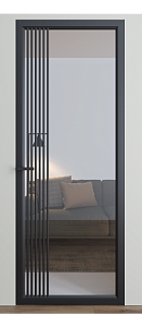 Двері Dooris Glass скляні DG 8 2000*800