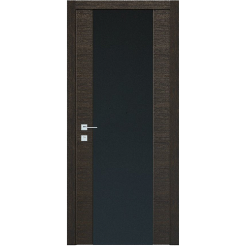 Двері Rodos Flat графіт (800 * 2000) ПВХ, скло чорний глянець